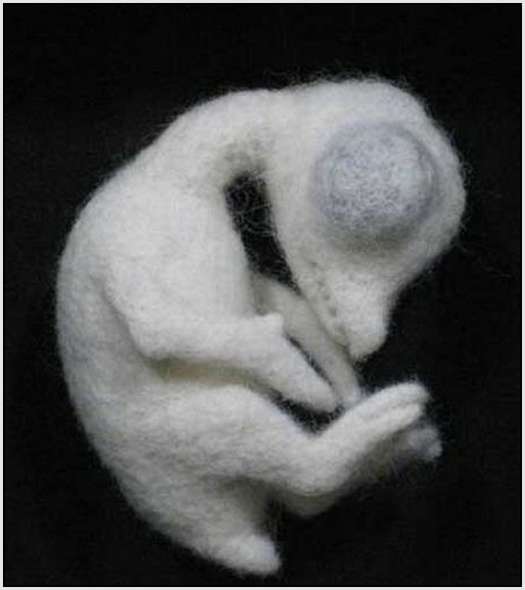 Amazing-Wool-Sculptures-5