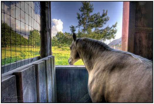 Beautiful-HDR-Photography-by-Steve-Burns-5 Beautiful-HDR-Photography-by-Steve-Burns-5