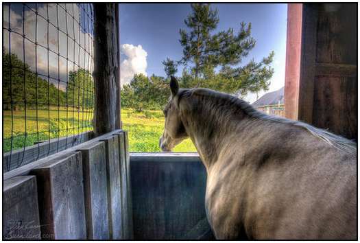 Beautiful-HDR-Photography-by-Steve-Burns-5