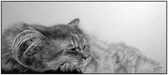 Incredible-Pencil-Art-from-Paul-Lung-2