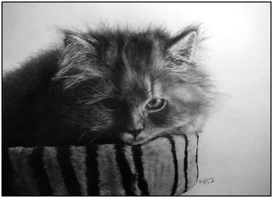 Incredible-Pencil-Art-from-Paul-Lung-6