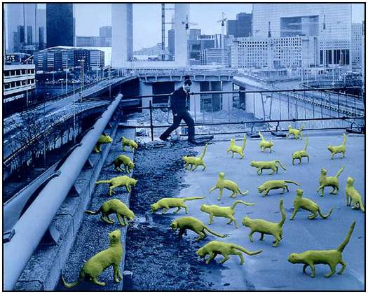 Paintings-and-Art-Photography-by-Sandy-Skoglund-20