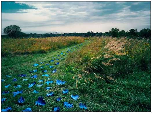 Paintings-and-Art-Photography-by-Sandy-Skoglund-9