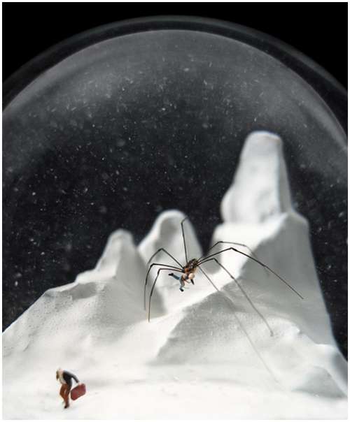 Wonderful-snow-globes-10 Wonderful-snow-globes-10