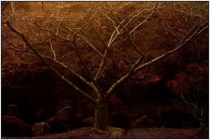 Abandoned-Places-by-Anthony-Kurtz-17 Abandoned-Places-by-Anthony-Kurtz-17