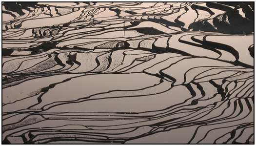 Architecture-of-Rice-Fields-14