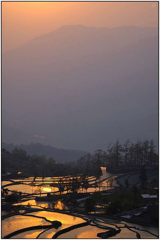 Architecture-of-Rice-Fields-15 Architecture-of-Rice-Fields-15