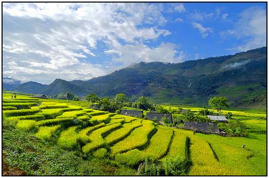 Architecture-of-Rice-Fields-4 Architecture-of-Rice-Fields-4