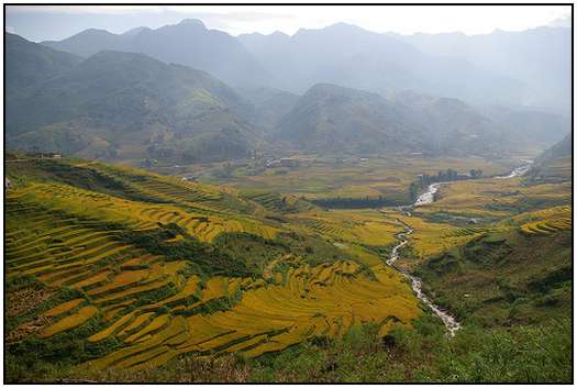 Architecture-of-Rice-Fields-8