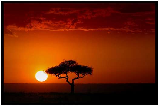 Beauty-of-Kenya-1