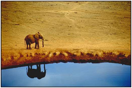 Beauty-of-Kenya-2