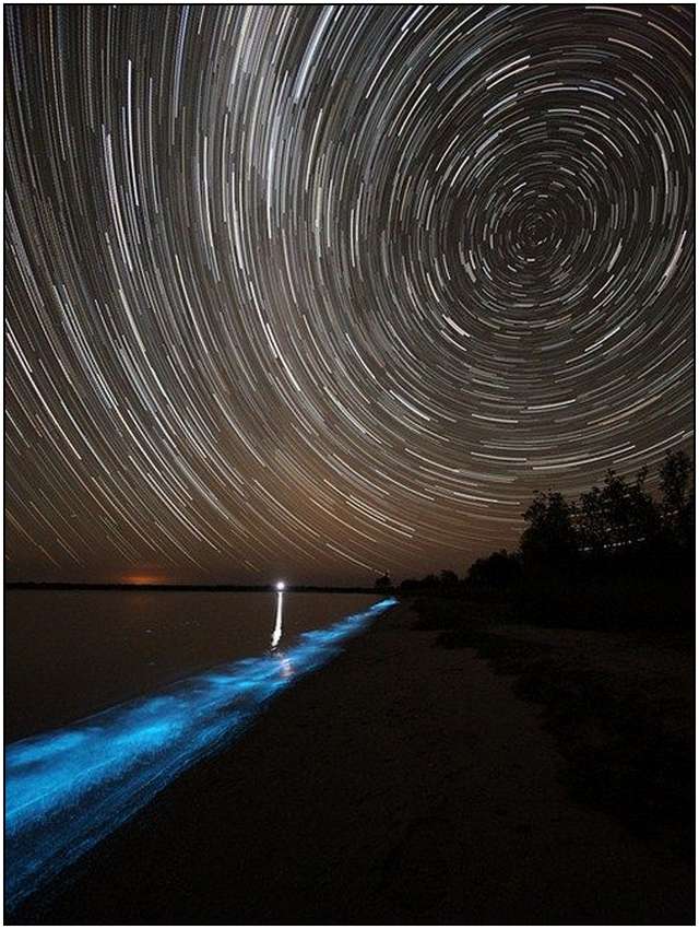 Bioluminescent-Lake-in-Australia-3