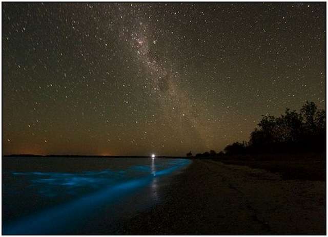 Bioluminescent-Lake-in-Australia-4