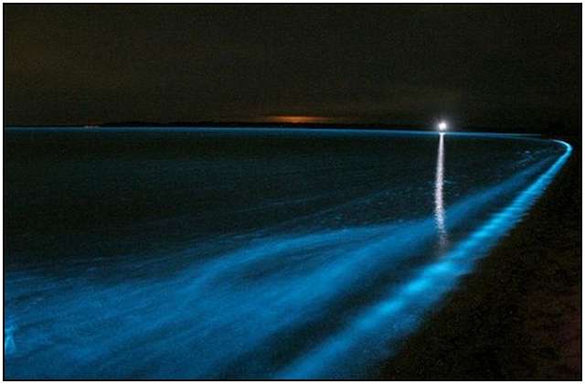 Bioluminescent-Lake-in-Australia-5