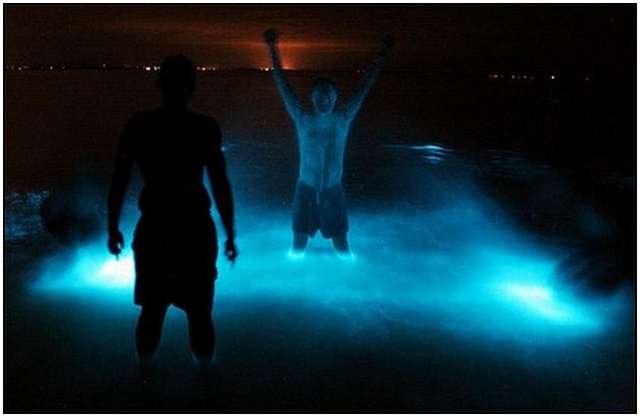 Bioluminescent-Lake-in-Australia-8