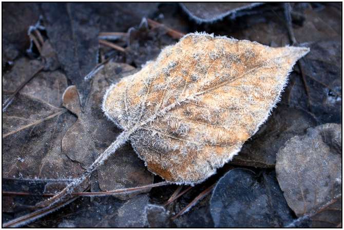 Earth-Photographed-by-Simon-Chirsten-9