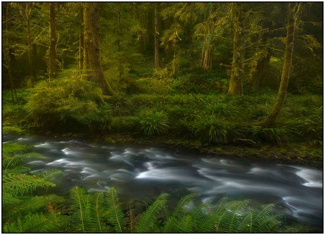 Rivers-and-Their-Springs-by-Marc-Adamus-1 Rivers-and-Their-Springs-by-Marc-Adamus-1