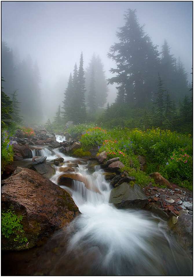 Rivers-and-Their-Springs-by-Marc-Adamus-12 Rivers-and-Their-Springs-by-Marc-Adamus-12