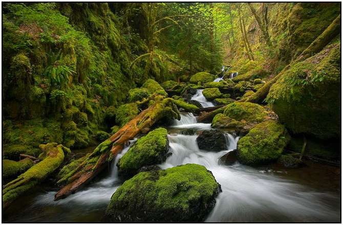 Rivers-and-Their-Springs-by-Marc-Adamus-13