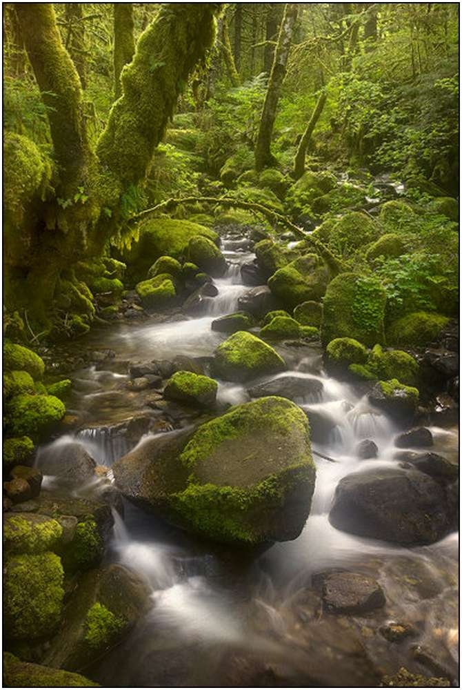 Rivers-and-Their-Springs-by-Marc-Adamus-14