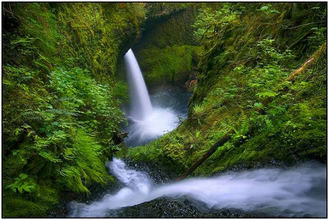 Rivers-and-Their-Springs-by-Marc-Adamus-16