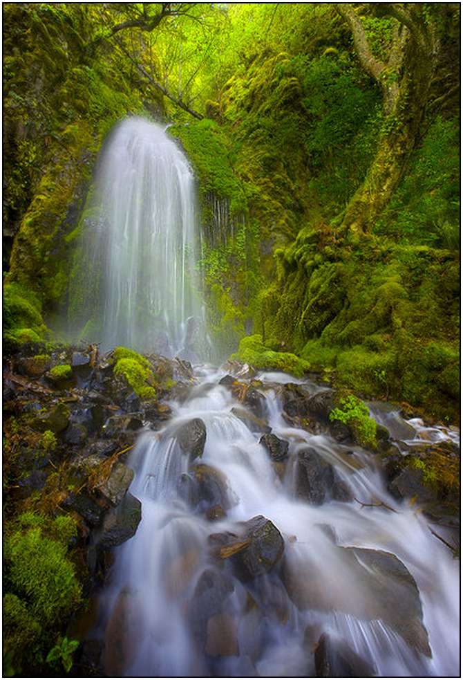 Rivers-and-Their-Springs-by-Marc-Adamus-17