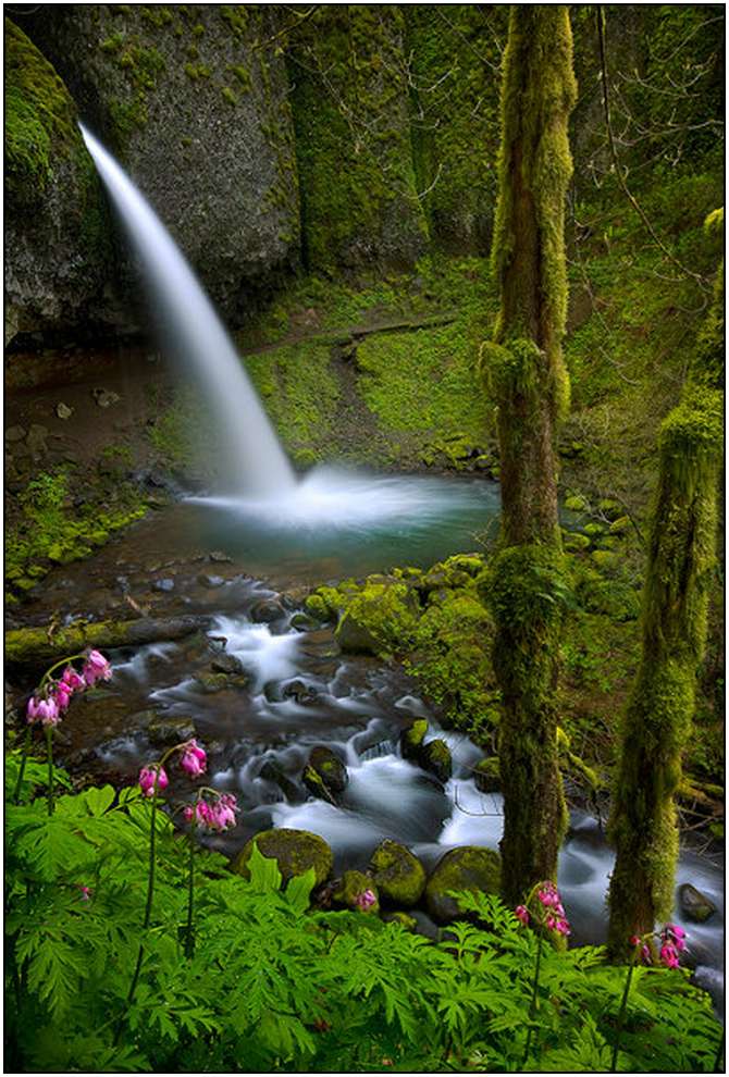 Rivers-and-Their-Springs-by-Marc-Adamus-20 Rivers-and-Their-Springs-by-Marc-Adamus-20