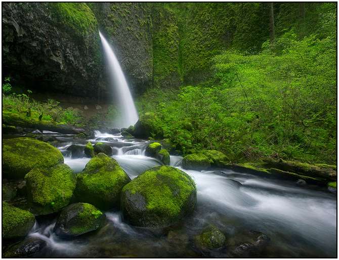 Rivers-and-Their-Springs-by-Marc-Adamus-21