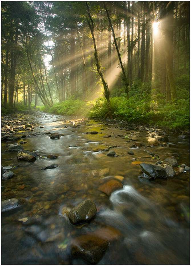 Rivers-and-Their-Springs-by-Marc-Adamus-22 Rivers-and-Their-Springs-by-Marc-Adamus-22