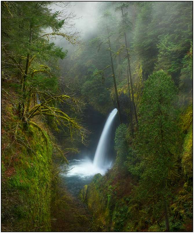 Rivers-and-Their-Springs-by-Marc-Adamus-24