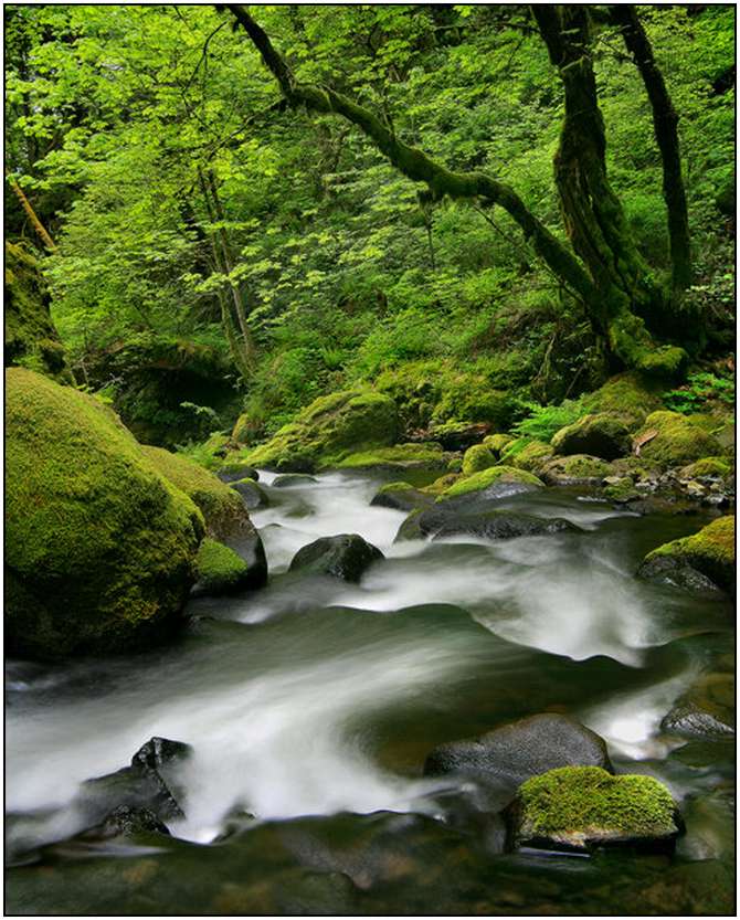 Rivers-and-Their-Springs-by-Marc-Adamus-28