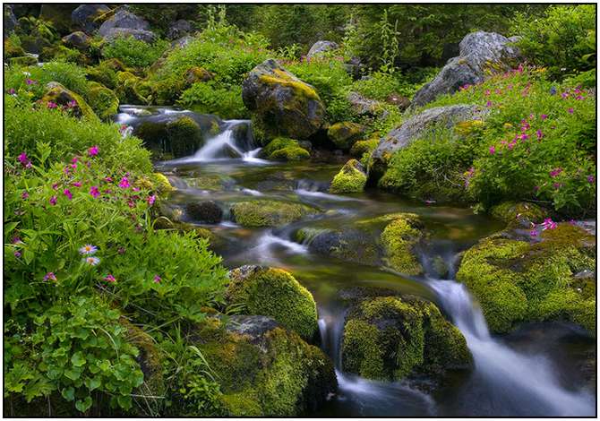 Rivers-and-Their-Springs-by-Marc-Adamus-29