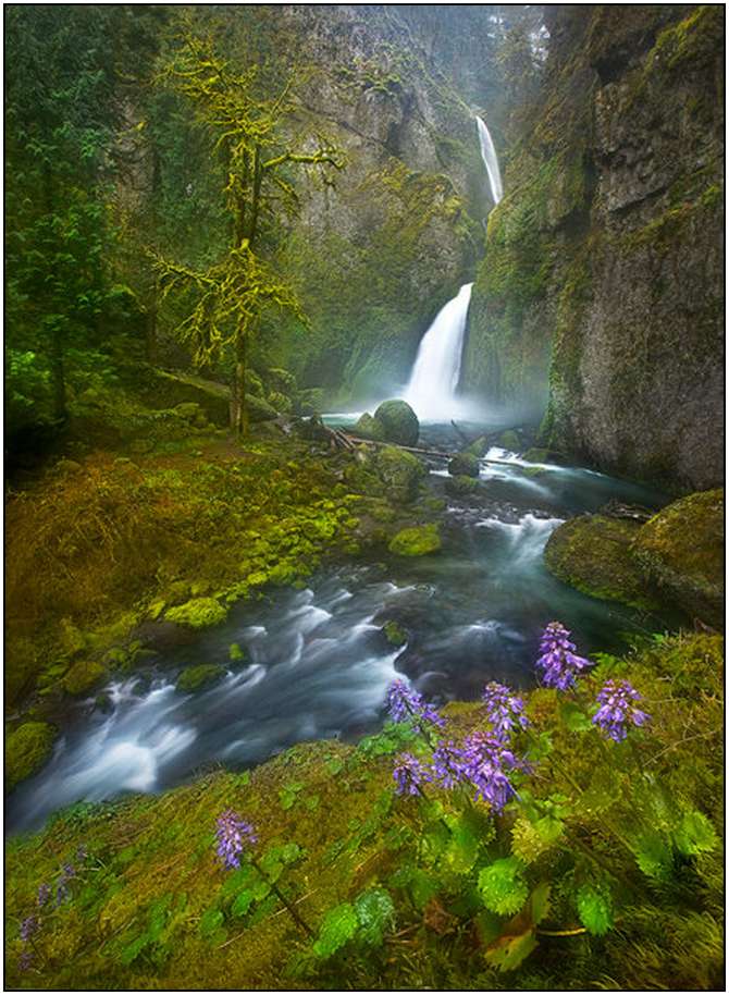 Rivers-and-Their-Springs-by-Marc-Adamus-6