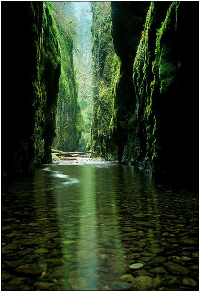 Rivers-and-Their-Springs-by-Marc-Adamus-9