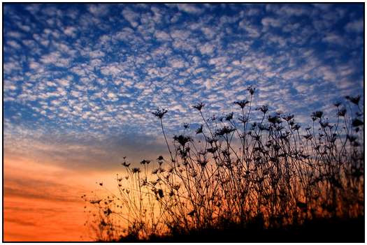 The-Beauty-of-the-Sky-7 The-Beauty-of-the-Sky-7