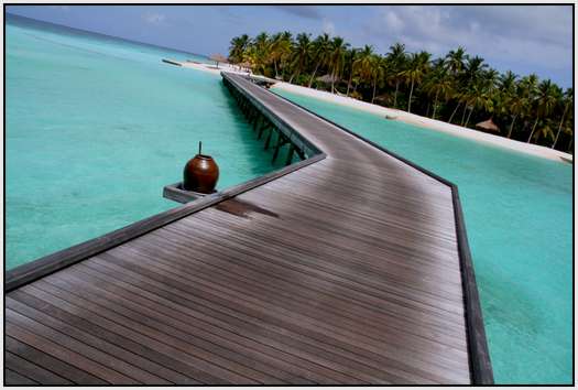 The-Maldives-38