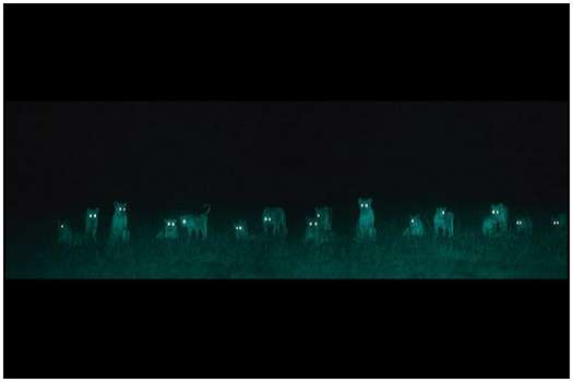 African Landscapes Photographed During the Nights African-Landscapes-1