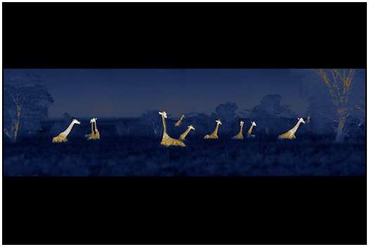 African-Landscapes-2 African-Landscapes-2