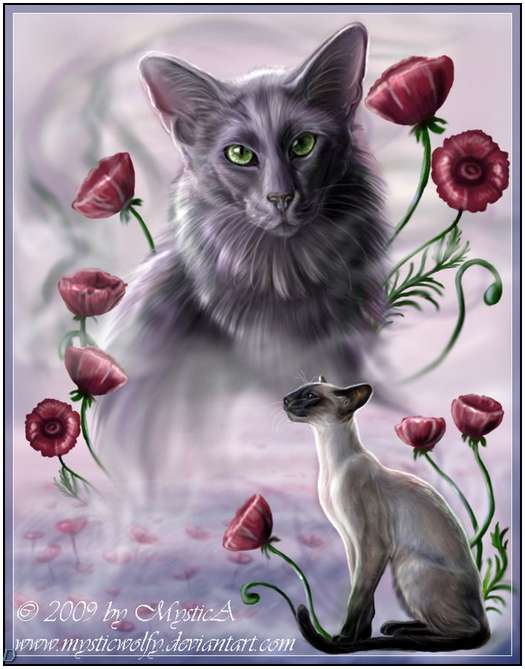 Cute-Cat-Artworks-22