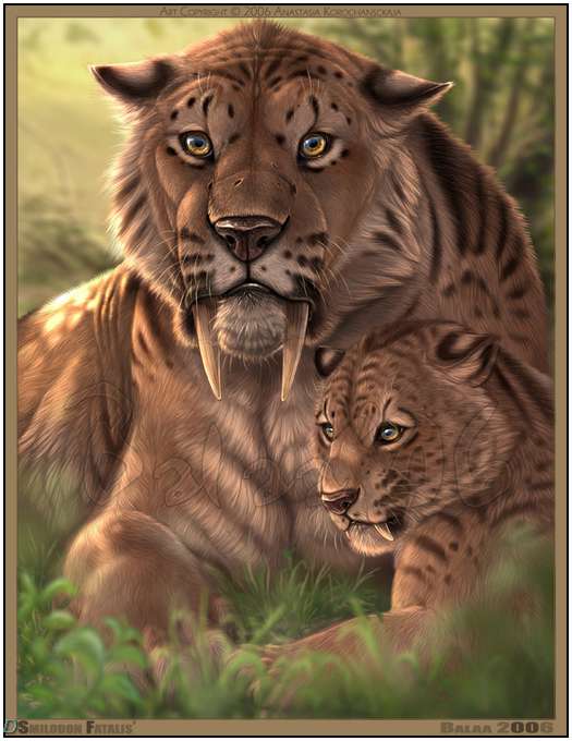 Cute-Cat-Artworks-24
