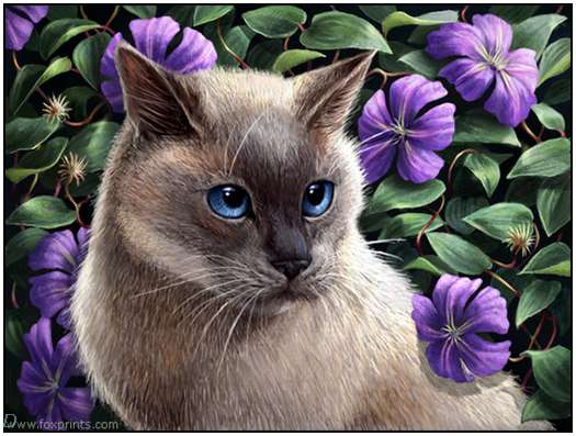 Cute-Cat-Artworks-30