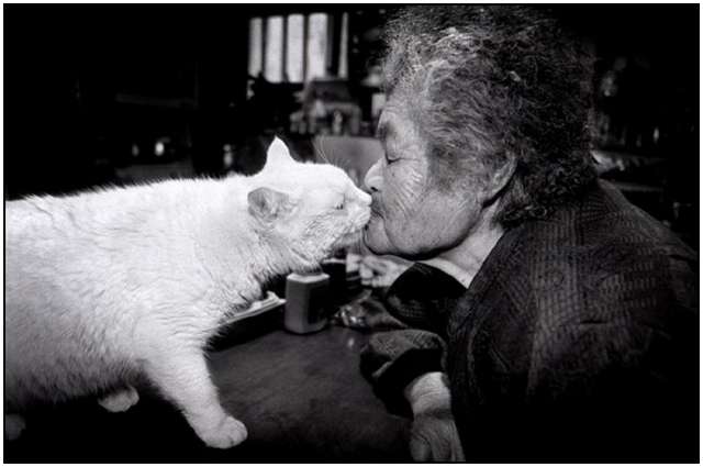 Photographs of 88-year-old Grandmother and Her Cat Photographs of 88-year-old Grandmother and Her Cat