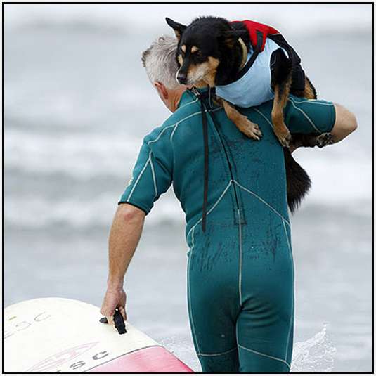 Surf-Dog-Surf-A-Thon-10