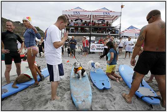 Surf-Dog-Surf-A-Thon-11