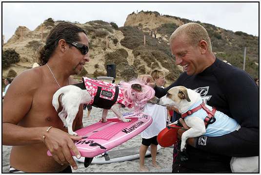 Surf-Dog-Surf-A-Thon-8