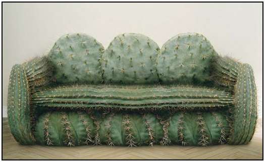 Cactus-Sofa