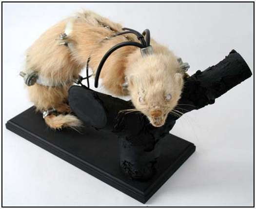 Steampunk-Taxidermy-by-Lisa-Black-1