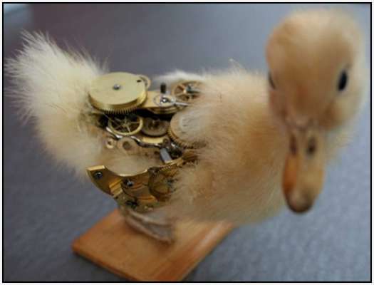 Steampunk-Taxidermy-by-Lisa-Black-10