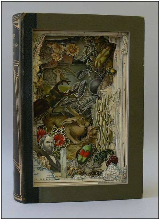 Book-Cutout-Art-by-Alexander-Korzer-Robinson-10