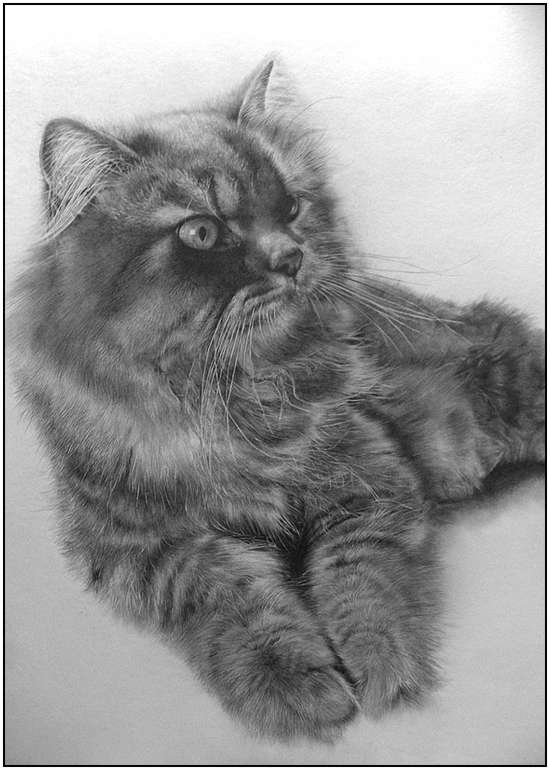 Incredible-Pencil-Art-from-Paul-Lung-11
